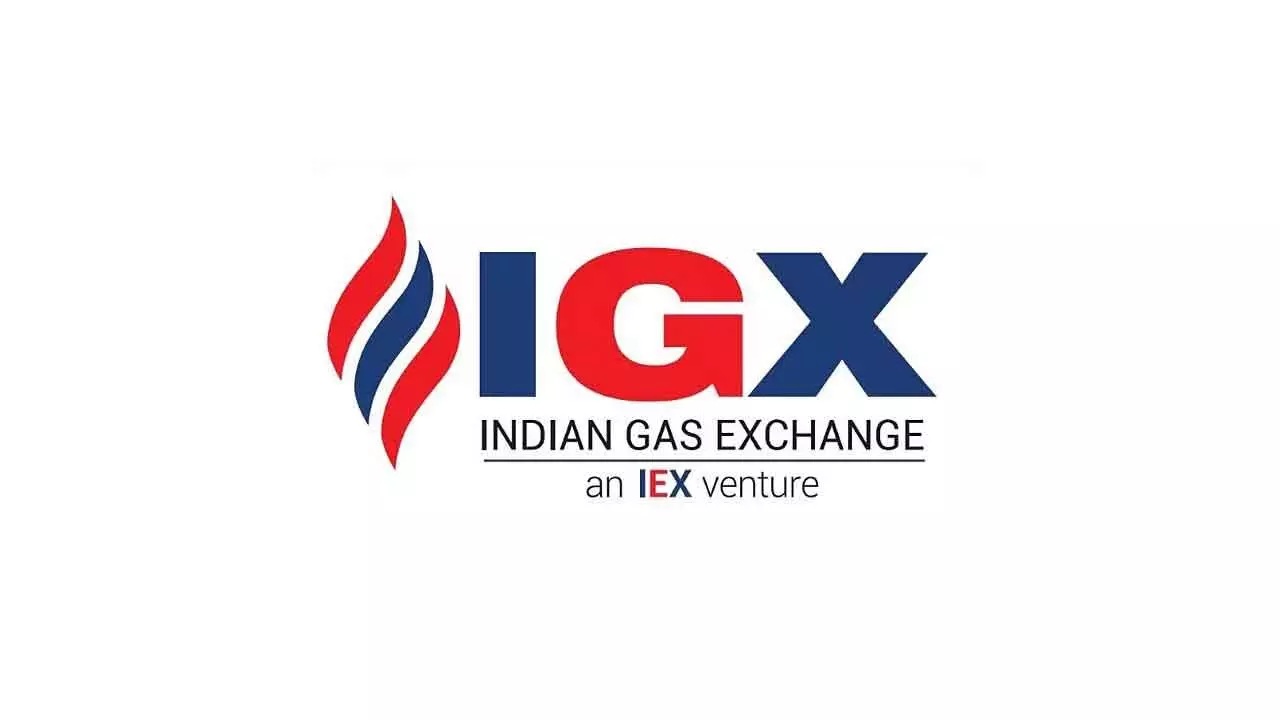 IGX Logo